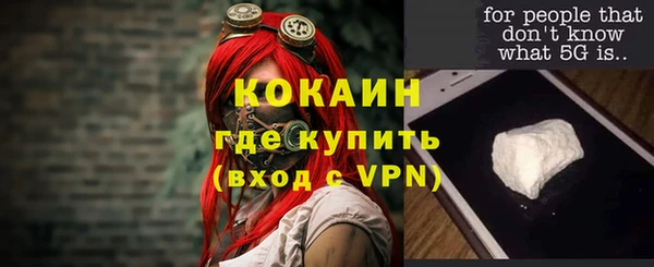 винт Верея